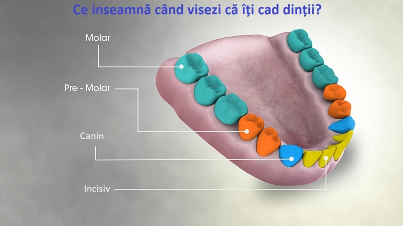 Visul Cu Dinti Strambi